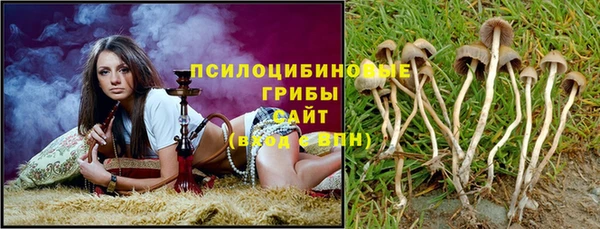 PSILOCYBIN Алексин