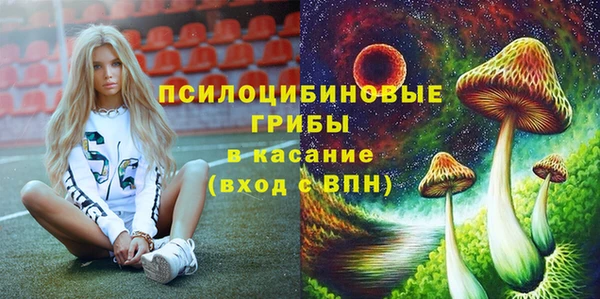 спиды Алексеевка