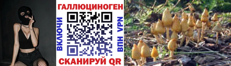 Галлюциногенные грибы Cubensis Бобров