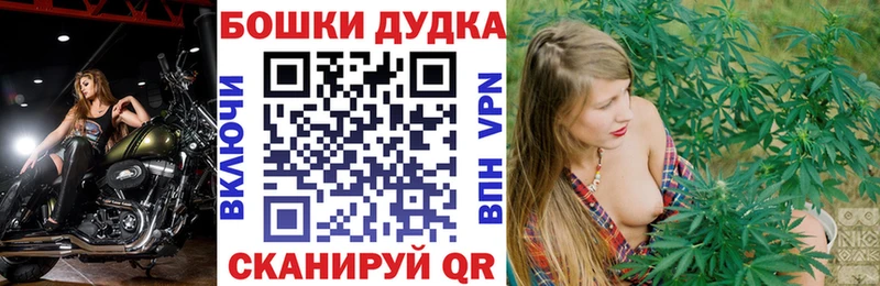 как найти закладки  Бобров  МАРИХУАНА индика 
